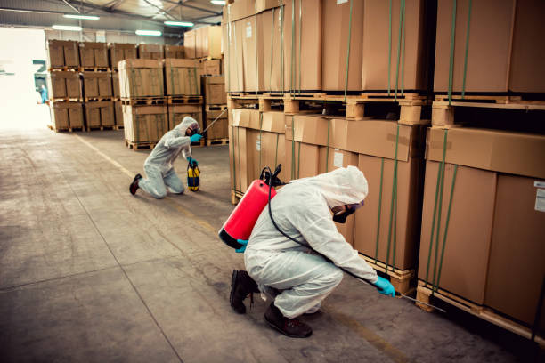 Best Bed Bug Extermination  in Cordry Sweetwater Lakes, IN