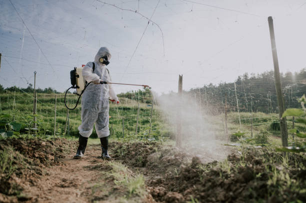 Best Mosquito Control Services  in Cordry Sweetwater Lakes, IN
