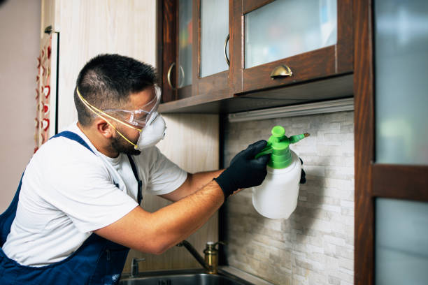 Best Local Pest Control Services  in Cordry Sweetwater Lakes, IN