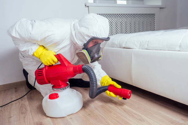 Best Wasp Removal Services  in Cordry Sweetwater Lakes, IN