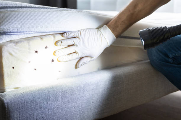 Best Pest Control Near Me in Cordry Sweetwater Lakes, IN