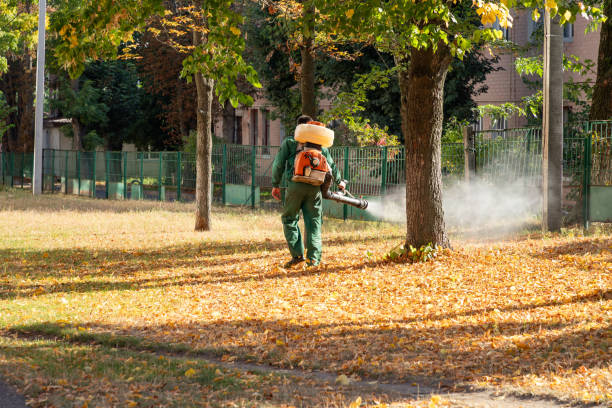 Best Affordable Pest Control Services  in Cordry Sweetwater Lakes, IN