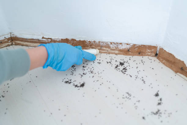 Professional Pest Control in Cordry Sweetwater Lakes, IN