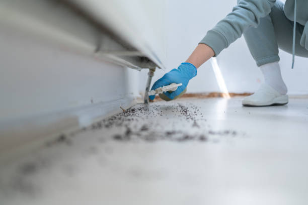 Best Best Pest Control Companies  in Cordry Sweetwater Lakes, IN