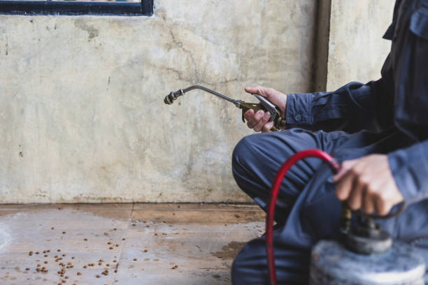 Best Residential Pest Control  in Cordry Sweetwater Lakes, IN